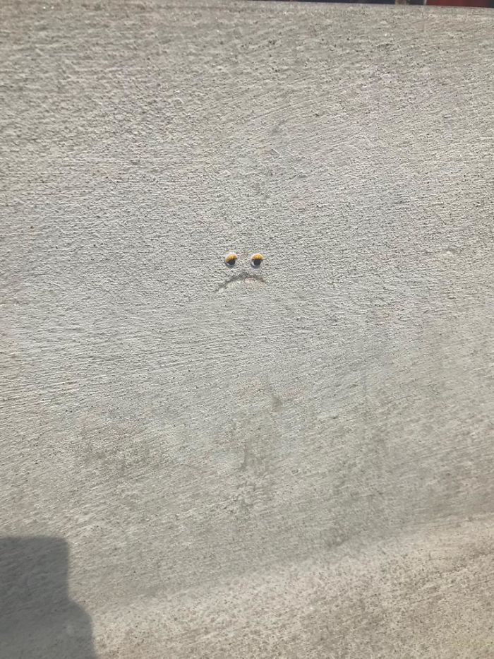 We Googly-Eyed Milan