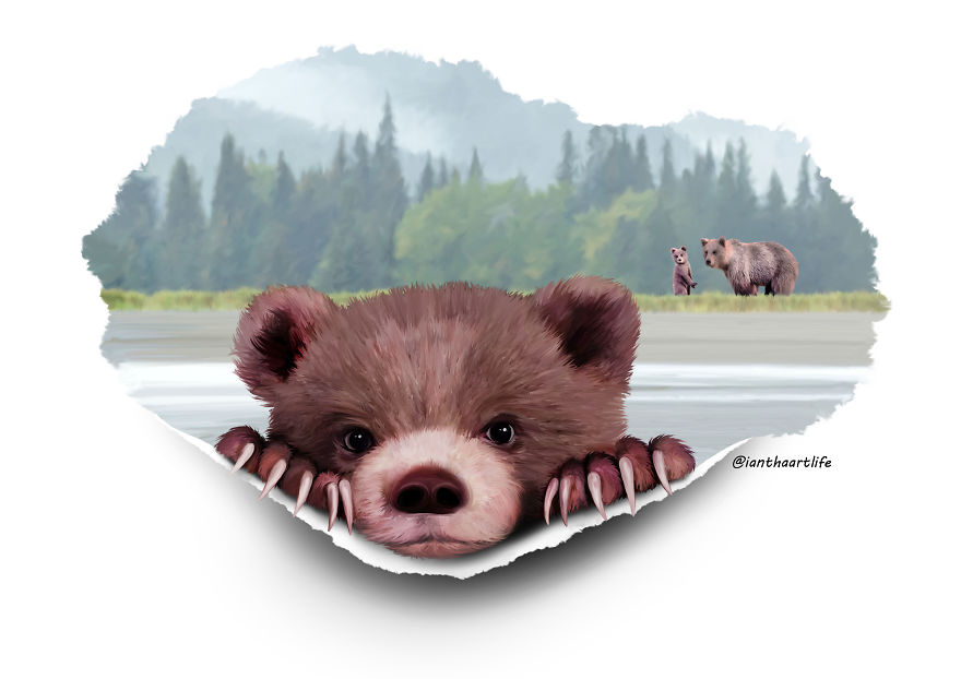 9 Illustrations Of Animals With Funny Expressions