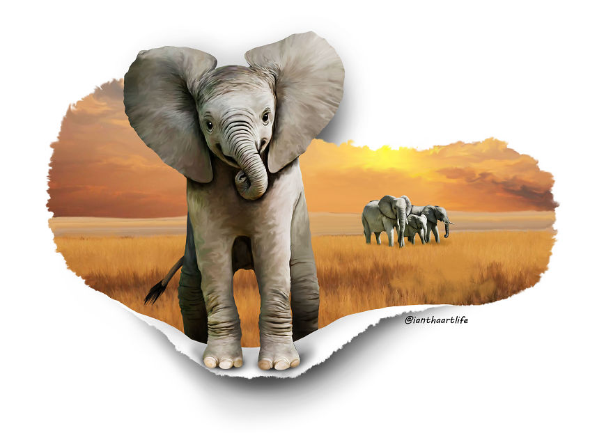 9 Illustrations Of Animals With Funny Expressions