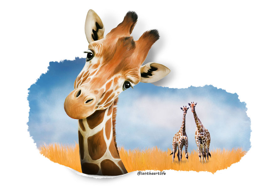 9 Illustrations Of Animals With Funny Expressions