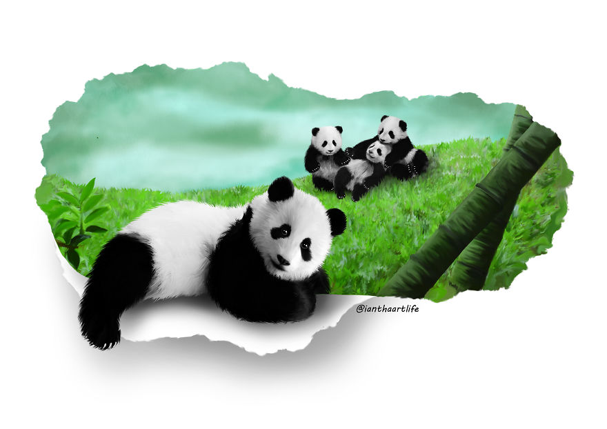 9 Illustrations Of Animals With Funny Expressions