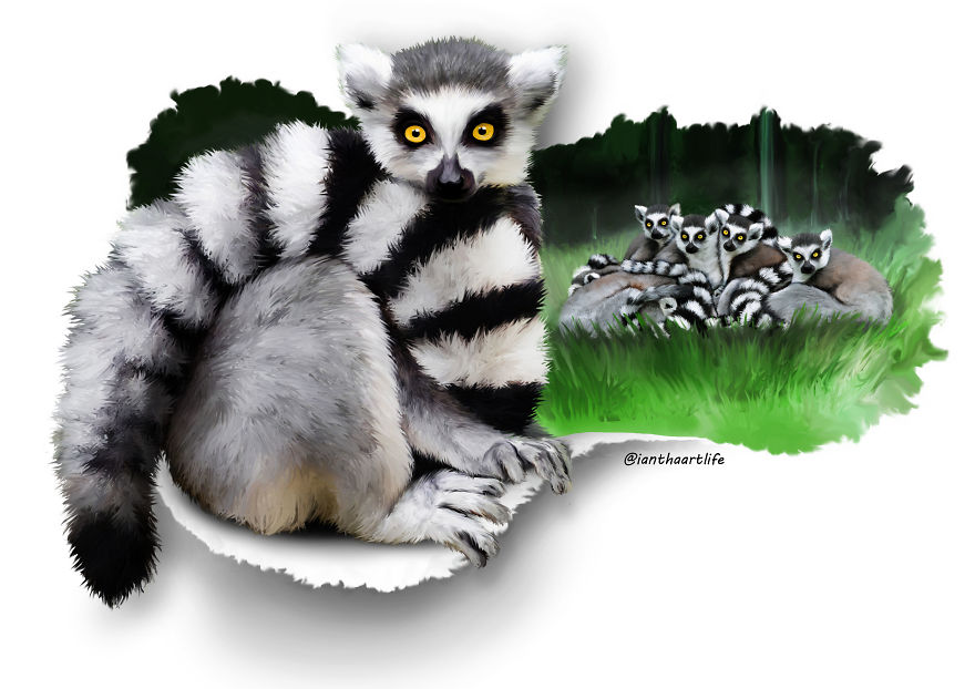 9 Illustrations Of Animals With Funny Expressions