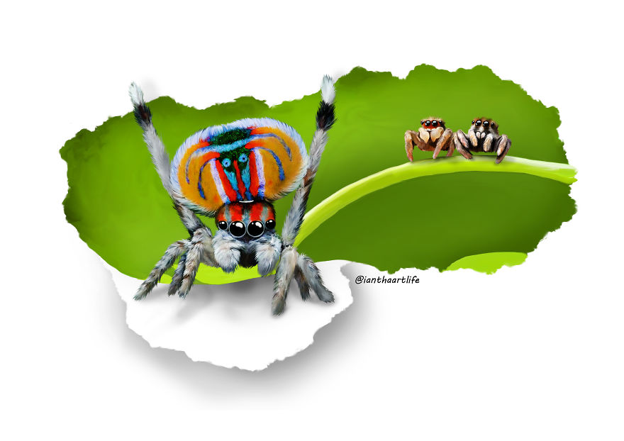 9 Illustrations Of Animals With Funny Expressions