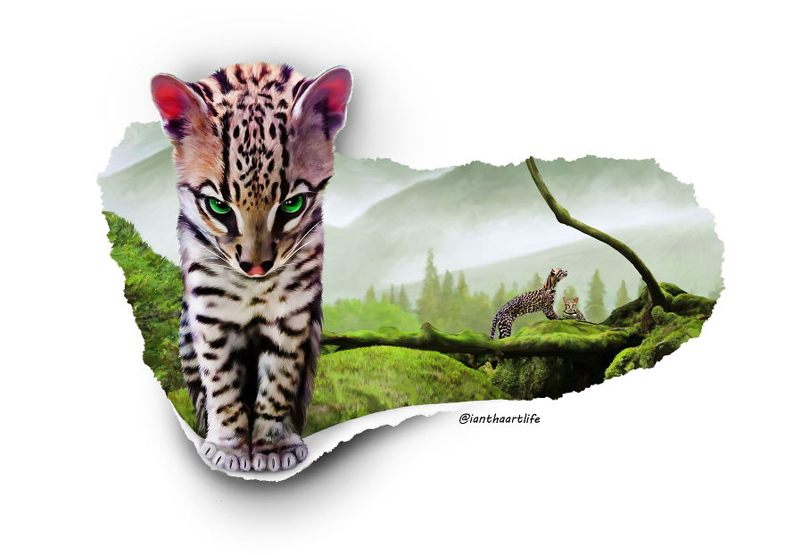 9 Illustrations Of Animals With Funny Expressions