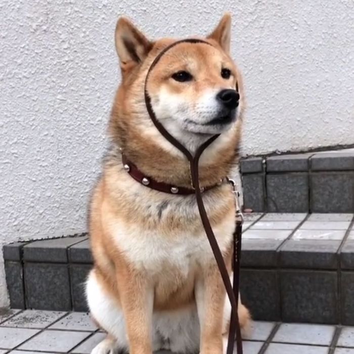 Don’t Think That’s How It Goes