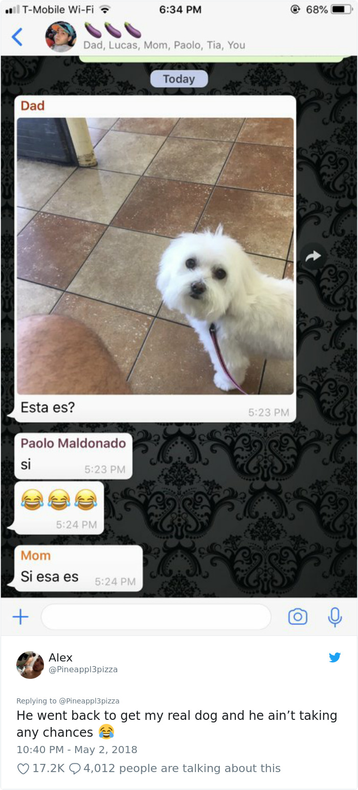 Son Notices Something Weird When His Dad Picks Dog Up From Groomer, And People Are Dying From Laughter Son Notices Something Weird When His Dad Picks Dog Up From Groomer, And People Are Dying From Laughter