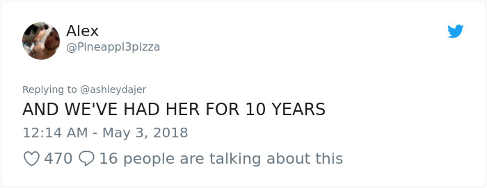 Son Notices Something Weird When His Dad Picks Dog Up From Groomer, And People Are Dying From Laughter Son Notices Something Weird When His Dad Picks Dog Up From Groomer, And People Are Dying From Laughter