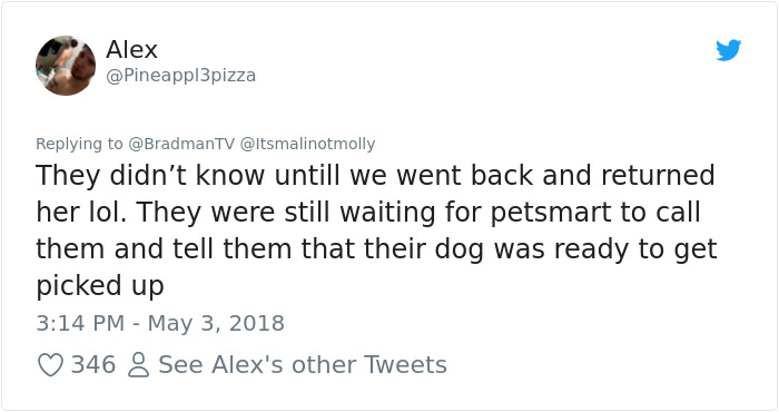 Son Notices Something Weird When His Dad Picks Dog Up From Groomer, And People Are Dying From Laughter