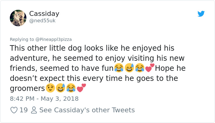 Son Notices Something Weird When His Dad Picks Dog Up From Groomer, And People Are Dying From Laughter Son Notices Something Weird When His Dad Picks Dog Up From Groomer, And People Are Dying From Laughter