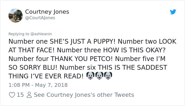 This Adorable 9-Week-Old Puppy Wasn't Allowed To A Puppy Party Because Of Her Breed And People Are Not Happy This Adorable 9-Week-Old Puppy Wasn't Allowed To A Puppy Party Because Of Her Breed And People Are Not Happy