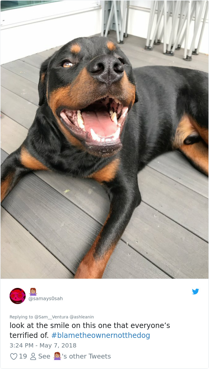 This Adorable 9-Week-Old Puppy Wasn't Allowed To A Puppy Party Because Of Her Breed And People Are Not Happy