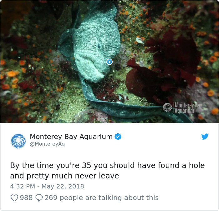 What-Everyone-Should-Accomplish-By-The-Age-Of-35-Twitter