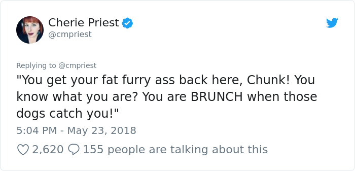 Woman Shares Her Epic Dog Saga On Twitter, And It Will Bring You Tears Of Laughter