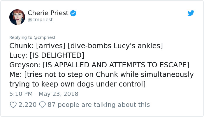 Woman Shares Her Epic Dog Saga On Twitter, And It Will Bring You Tears Of Laughter