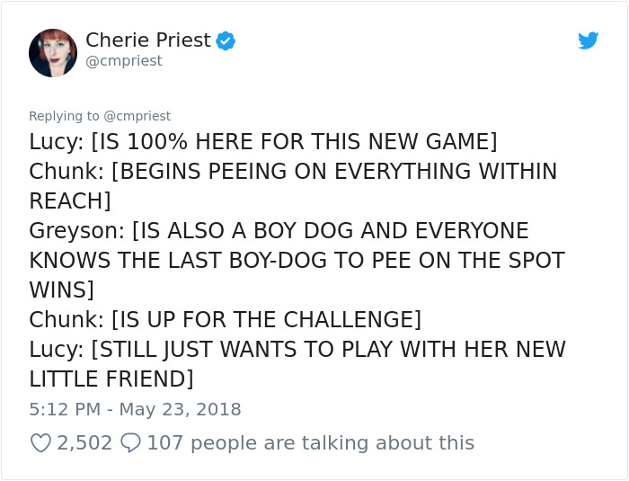 Woman Shares Her Epic Dog Saga On Twitter, And It Will Bring You Tears Of Laughter