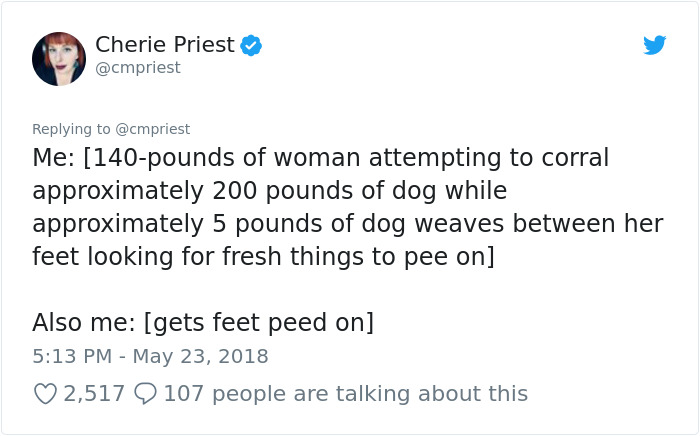 Woman Shares Her Epic Dog Saga On Twitter, And It Will Bring You Tears Of Laughter