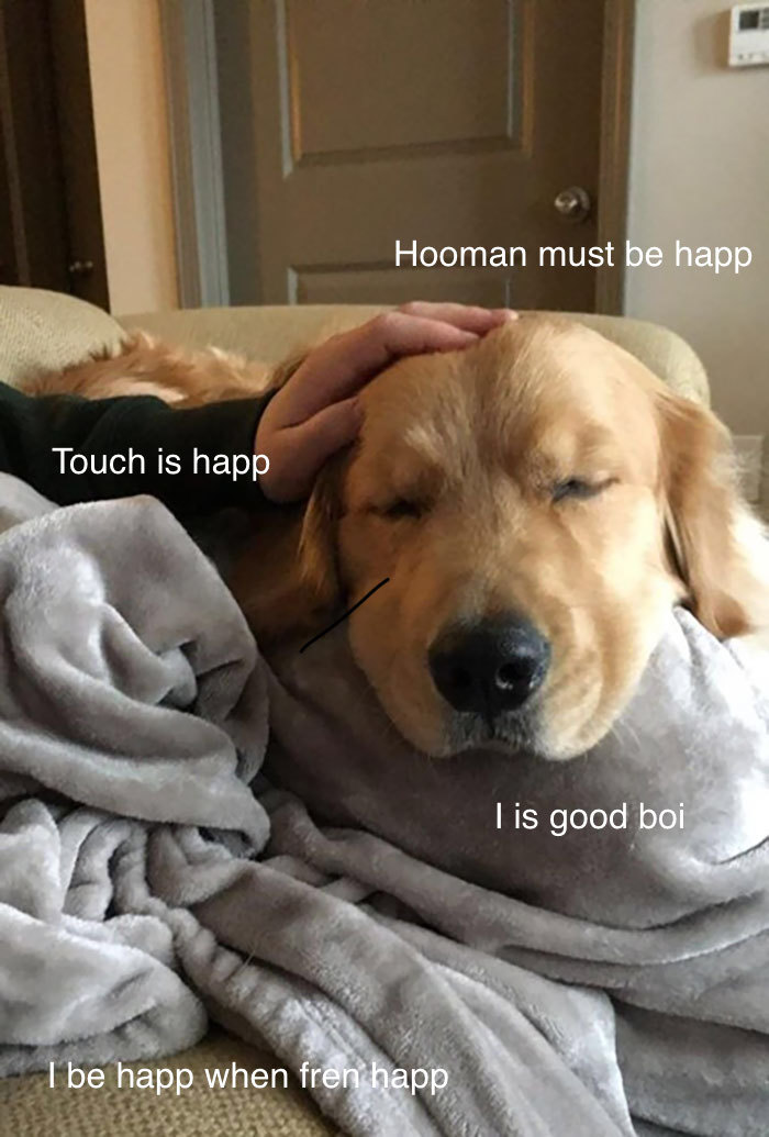 I Made These Pictures With The Sweet Dog Post And I Hope They'll Brighten Your Day