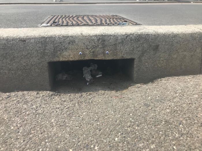 We Googly-Eyed Milan