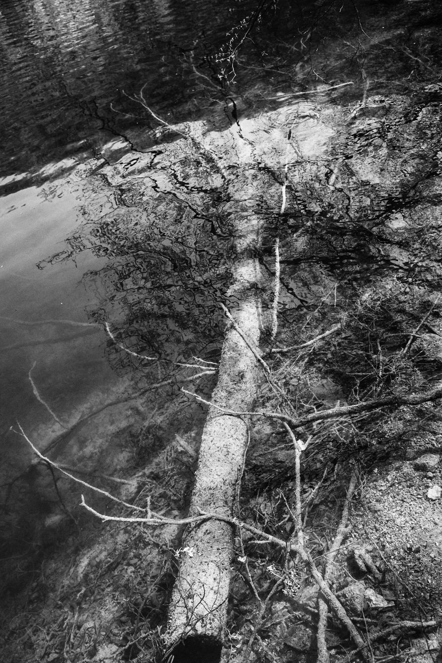 Plitvice Lakes In Black And White