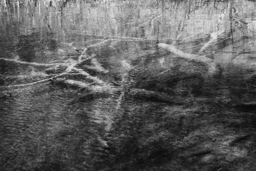 Plitvice Lakes In Black And White