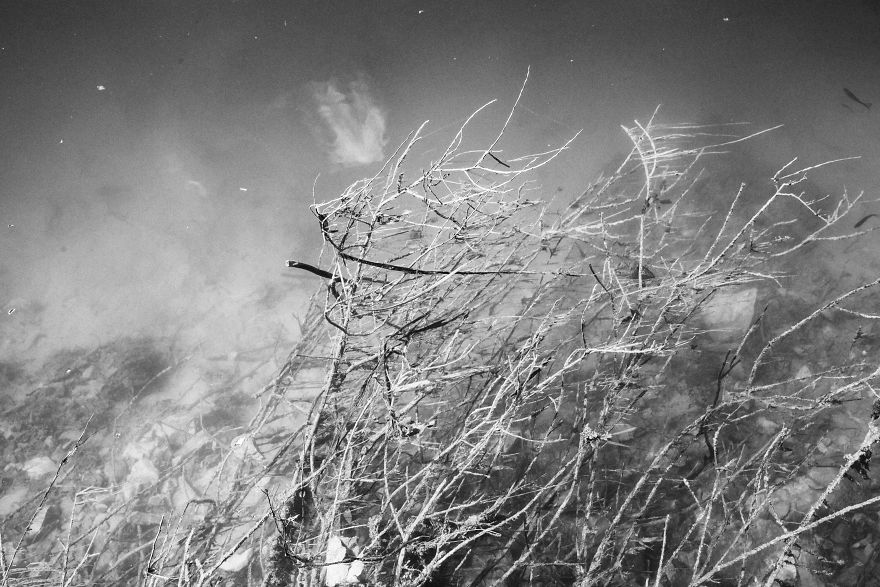 Plitvice Lakes In Black And White Plitvice Lakes In Black And White