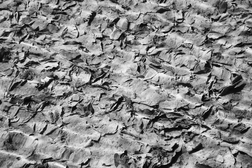 Plitvice Lakes In Black And White