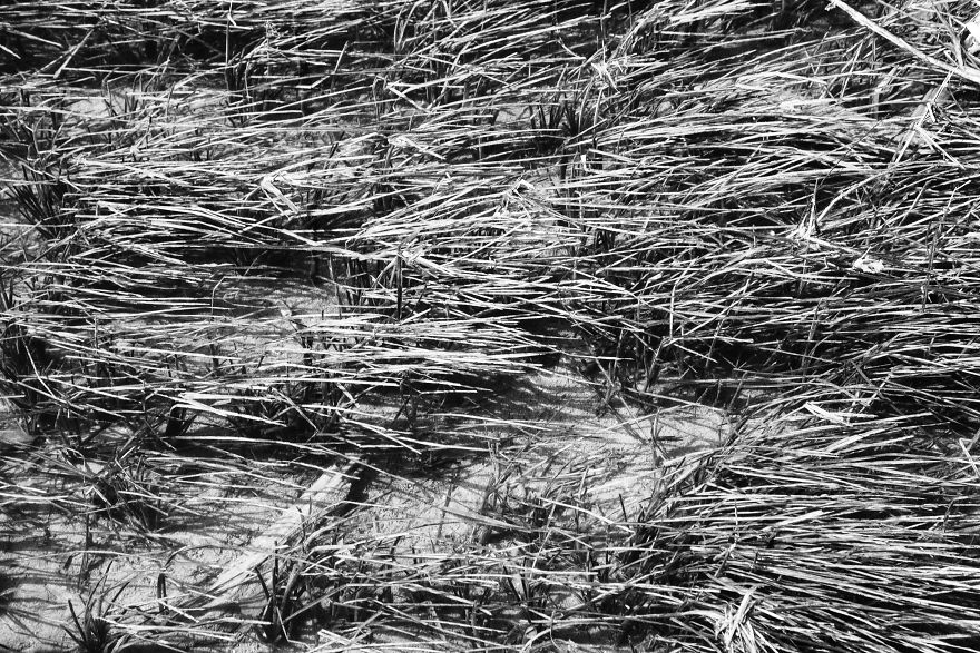 Plitvice Lakes In Black And White Plitvice Lakes In Black And White