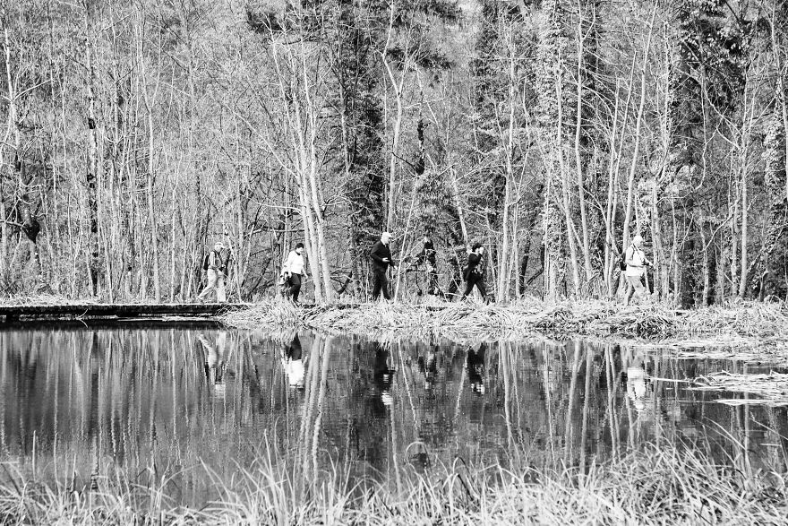 Plitvice Lakes In Black And White