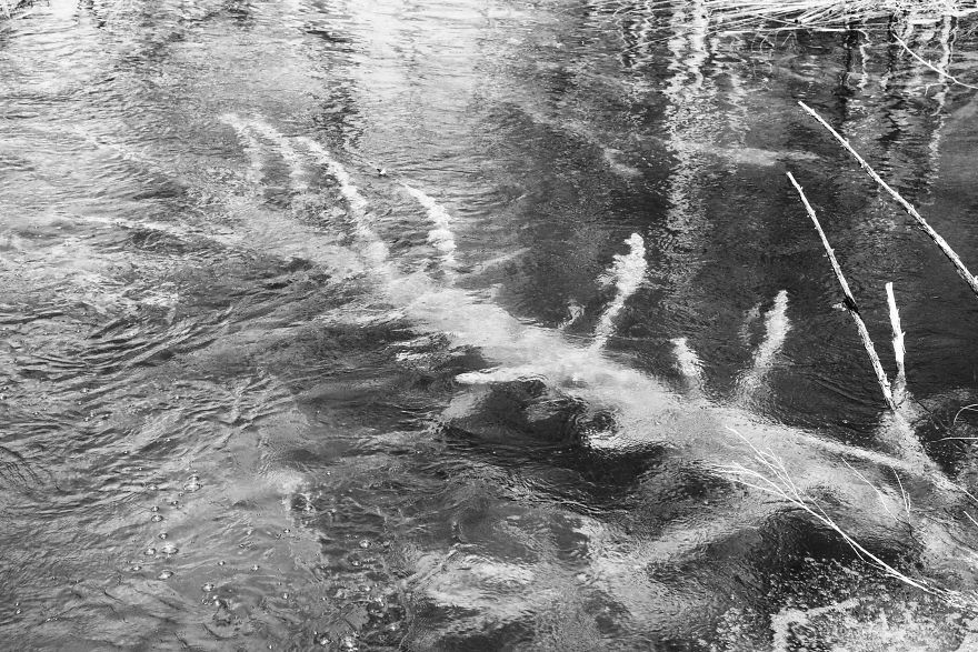 Plitvice Lakes In Black And White