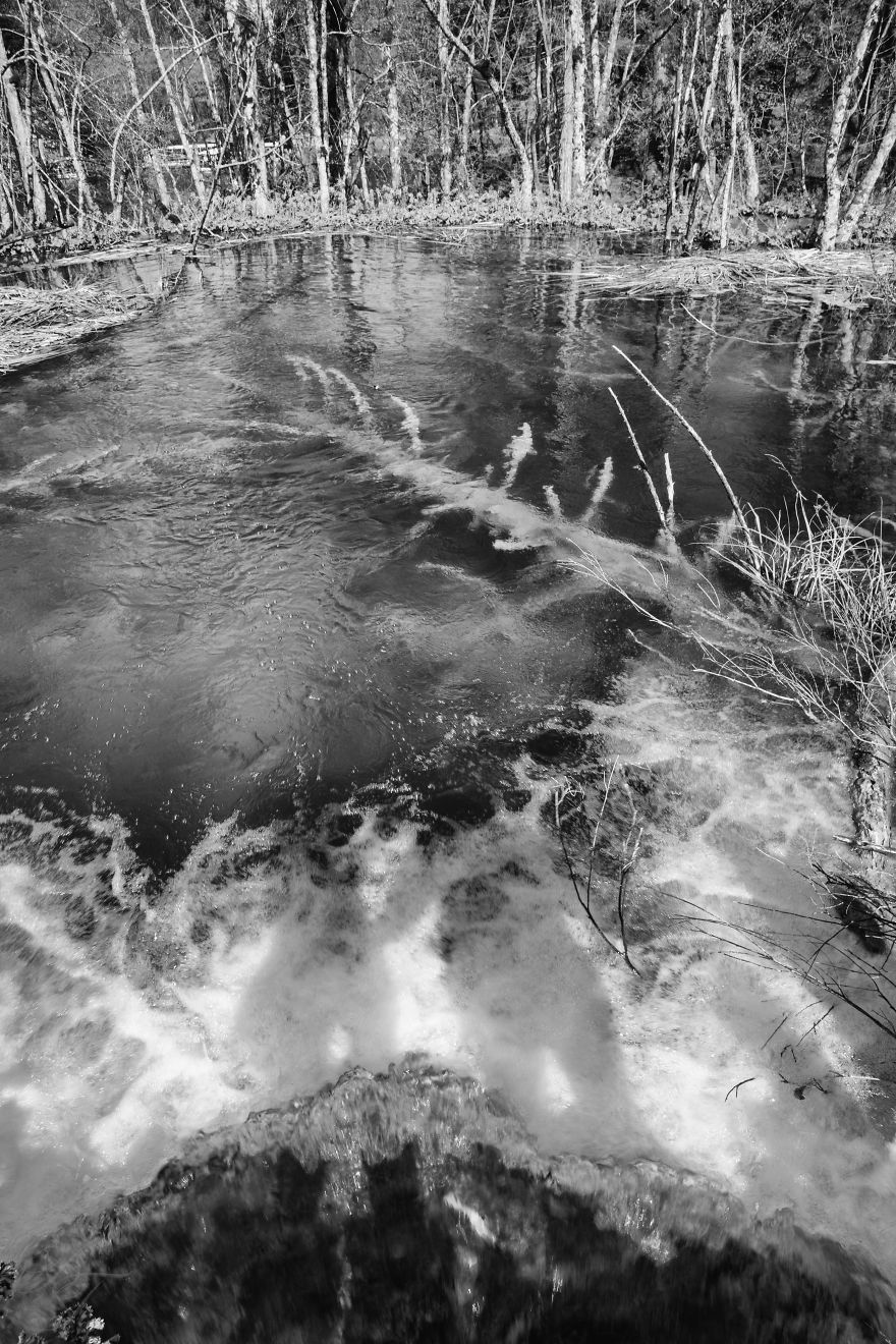 Plitvice Lakes In Black And White Plitvice Lakes In Black And White