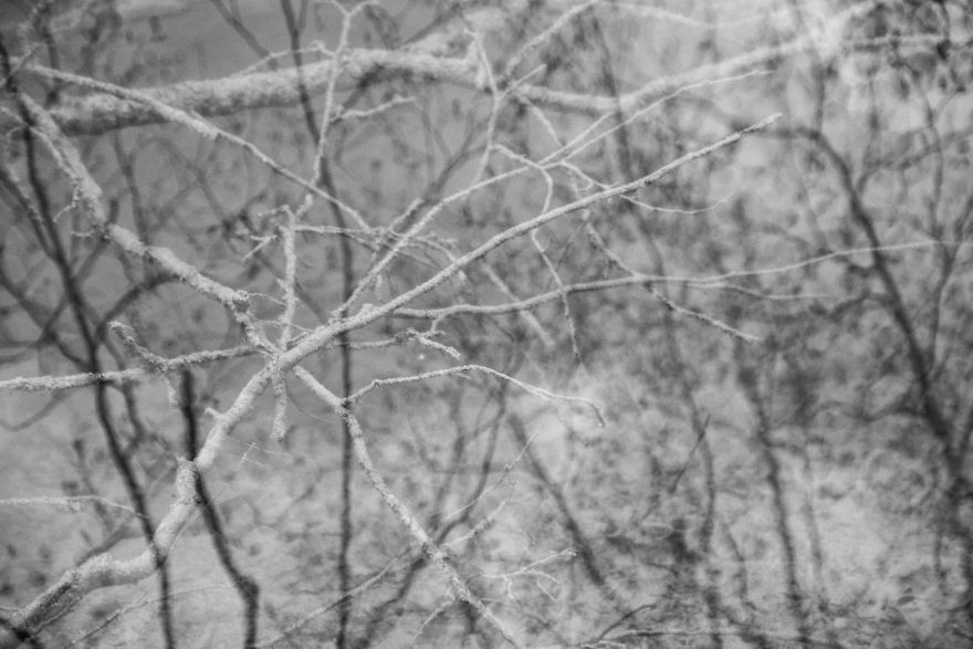 Plitvice Lakes In Black And White