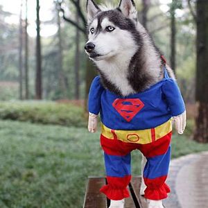 michelle-stinnett avatar