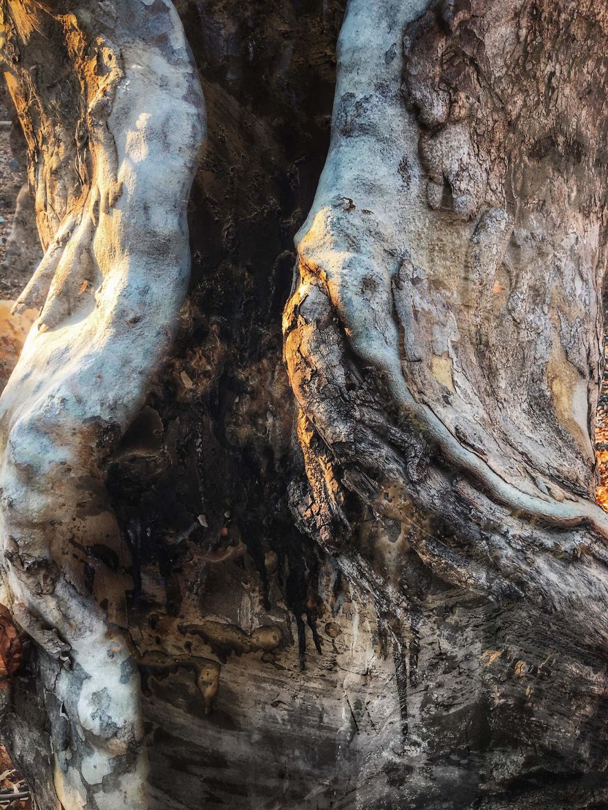 Artist Turns His Surrounding Environment From Abandoned Places And Small Abstract Details Into Elegance Pieces Of Art