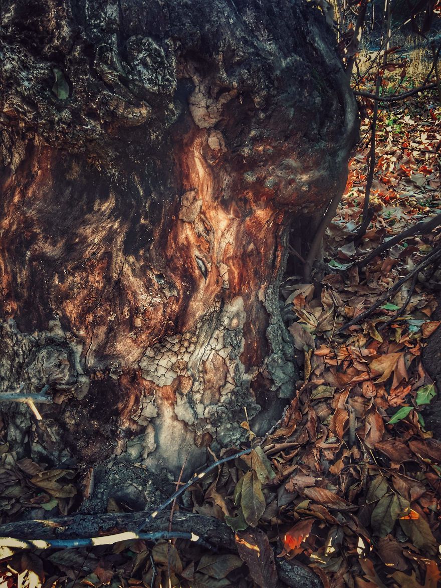 Artist Turns His Surrounding Environment From Abandoned Places And Small Abstract Details Into Elegance Pieces Of Art