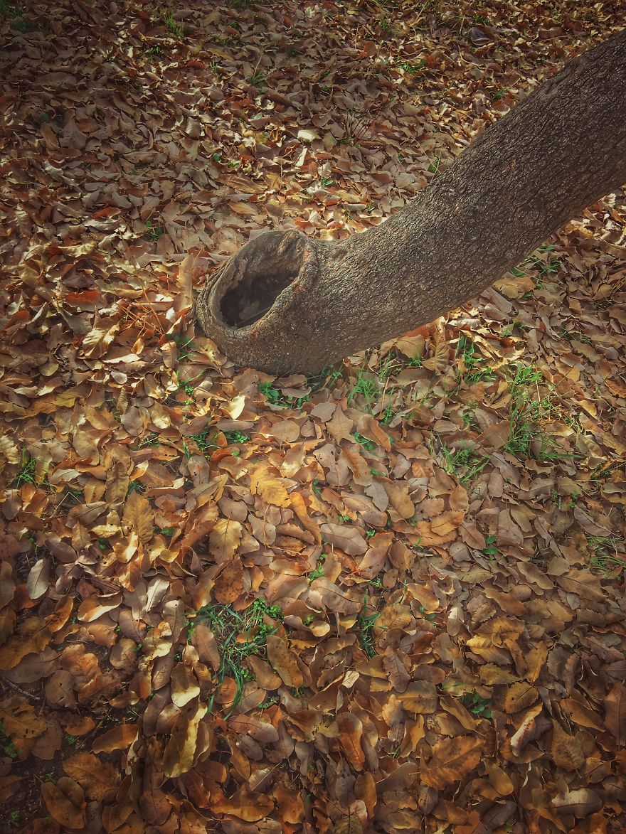 Artist Turns His Surrounding Environment From Abandoned Places And Small Abstract Details Into Elegance Pieces Of Art