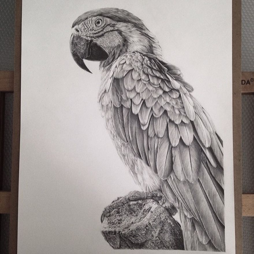 Artist Makes Hyper Realistic Drawings To The Point Where We See The Pores Of The Skin