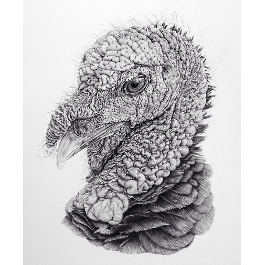 Artist Makes Hyper Realistic Drawings To The Point Where We See The Pores Of The Skin Artist Makes Hyper Realistic Drawings To The Point Where We See The Pores Of The Skin