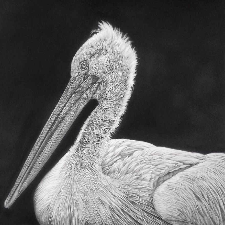 Artist Makes Hyper Realistic Drawings To The Point Where We See The Pores Of The Skin