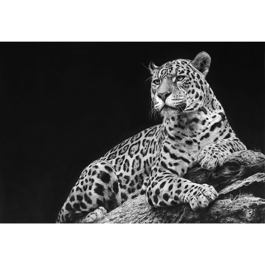 Artist Makes Hyper Realistic Drawings To The Point Where We See The Pores Of The Skin