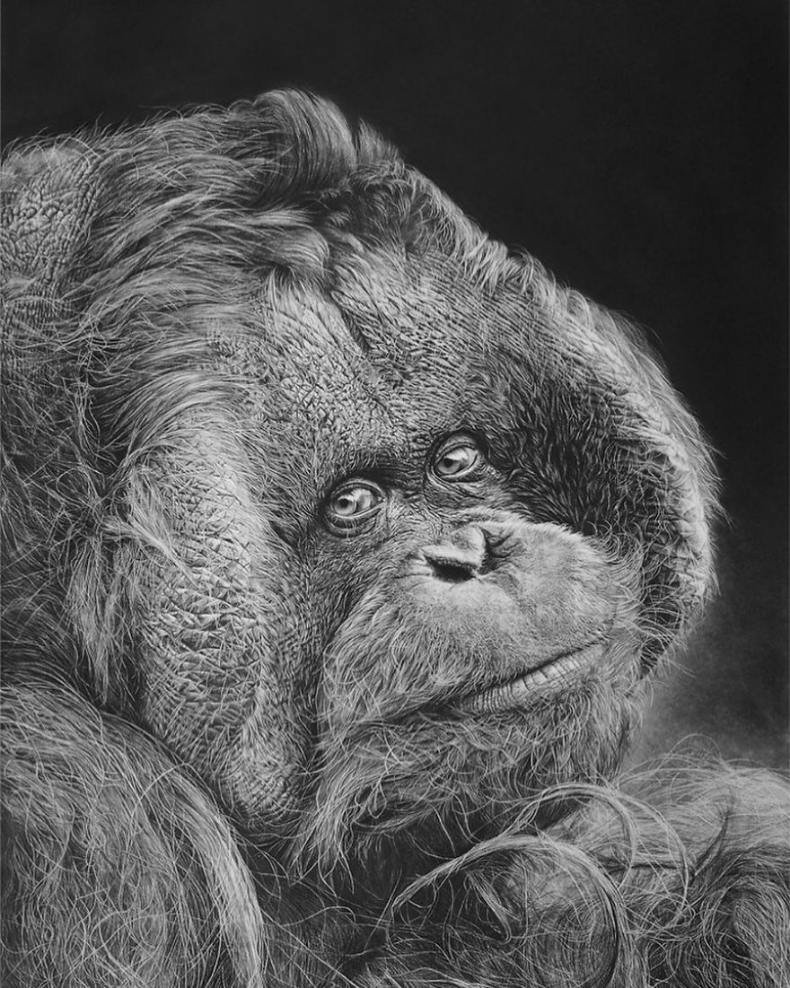 Artist Makes Hyper Realistic Drawings To The Point Where We See The Pores Of The Skin