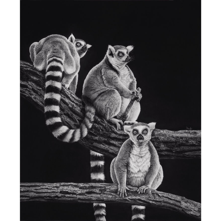 Artist Makes Hyper Realistic Drawings To The Point Where We See The Pores Of The Skin Artist Makes Hyper Realistic Drawings To The Point Where We See The Pores Of The Skin