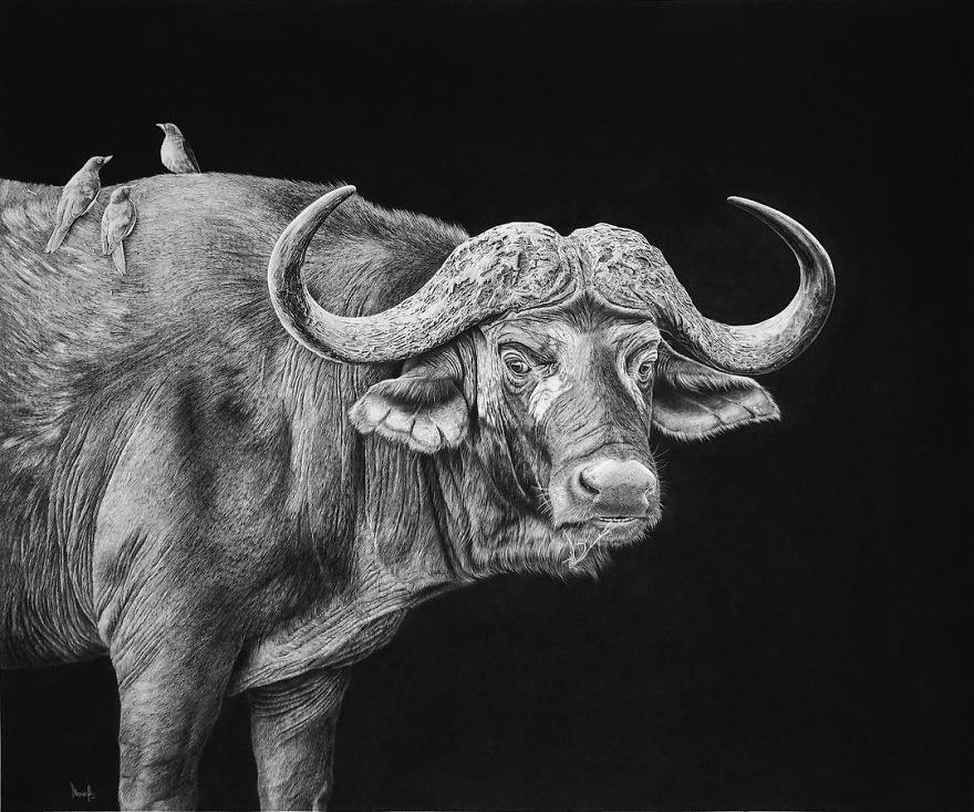 Artist Makes Hyper Realistic Drawings To The Point Where We See The Pores Of The Skin