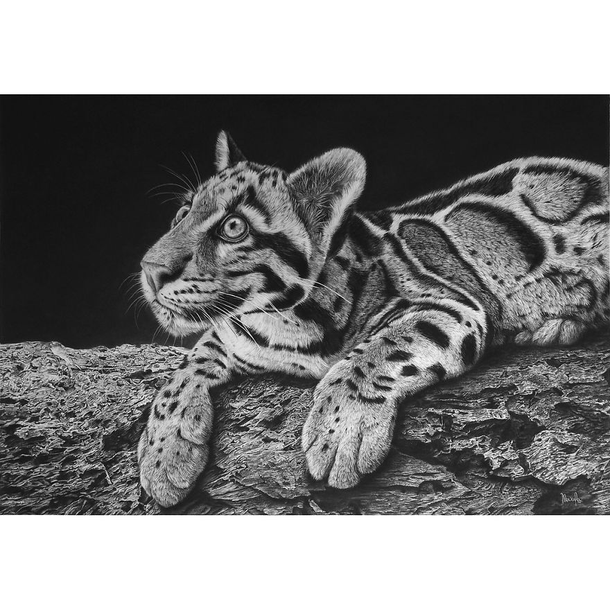 Artist Makes Hyper Realistic Drawings To The Point Where We See The Pores Of The Skin Artist Makes Hyper Realistic Drawings To The Point Where We See The Pores Of The Skin