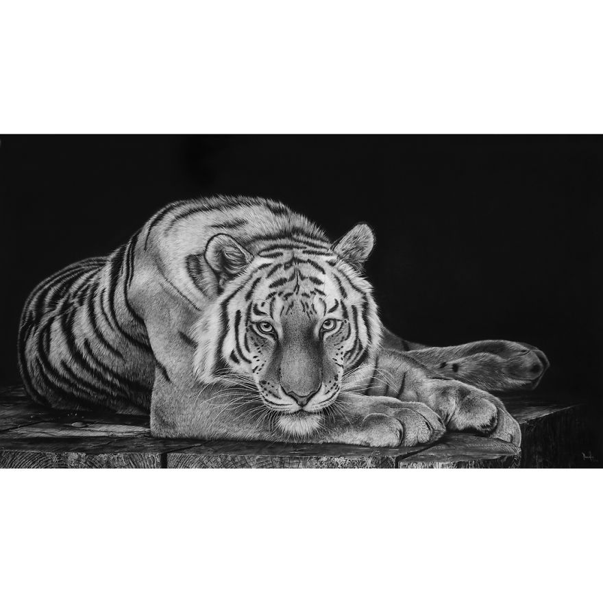 Artist Makes Hyper Realistic Drawings To The Point Where We See The Pores Of The Skin Artist Makes Hyper Realistic Drawings To The Point Where We See The Pores Of The Skin