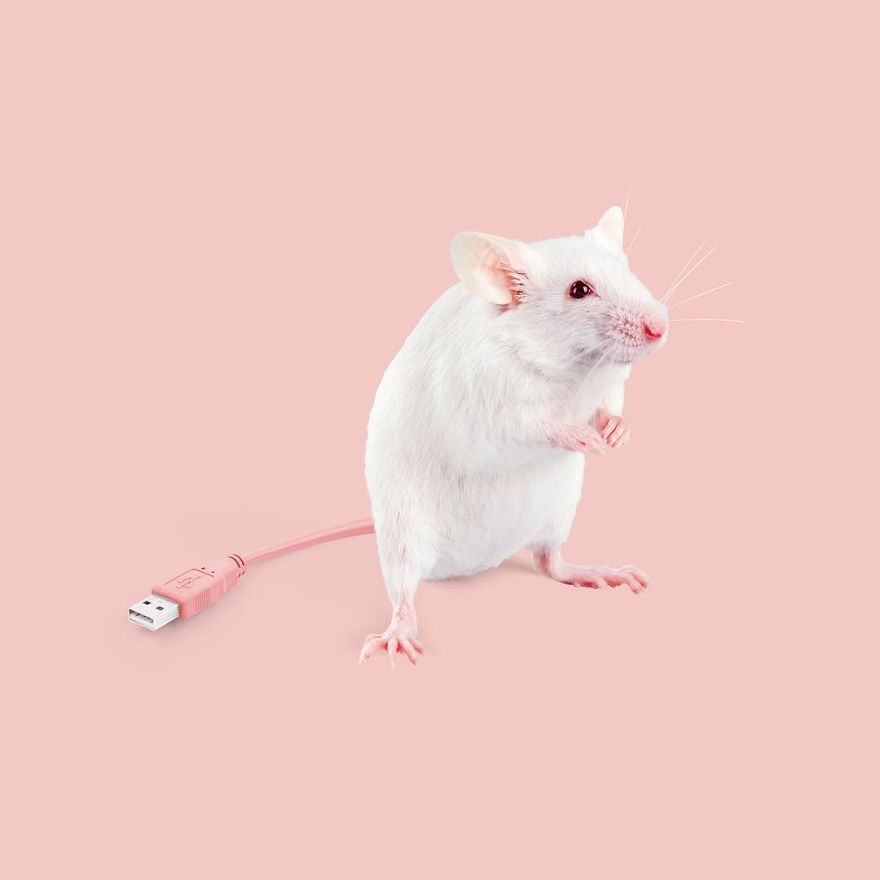 Artist Makes Incredible Manipulations That Will Surely Fiddle With Your Head