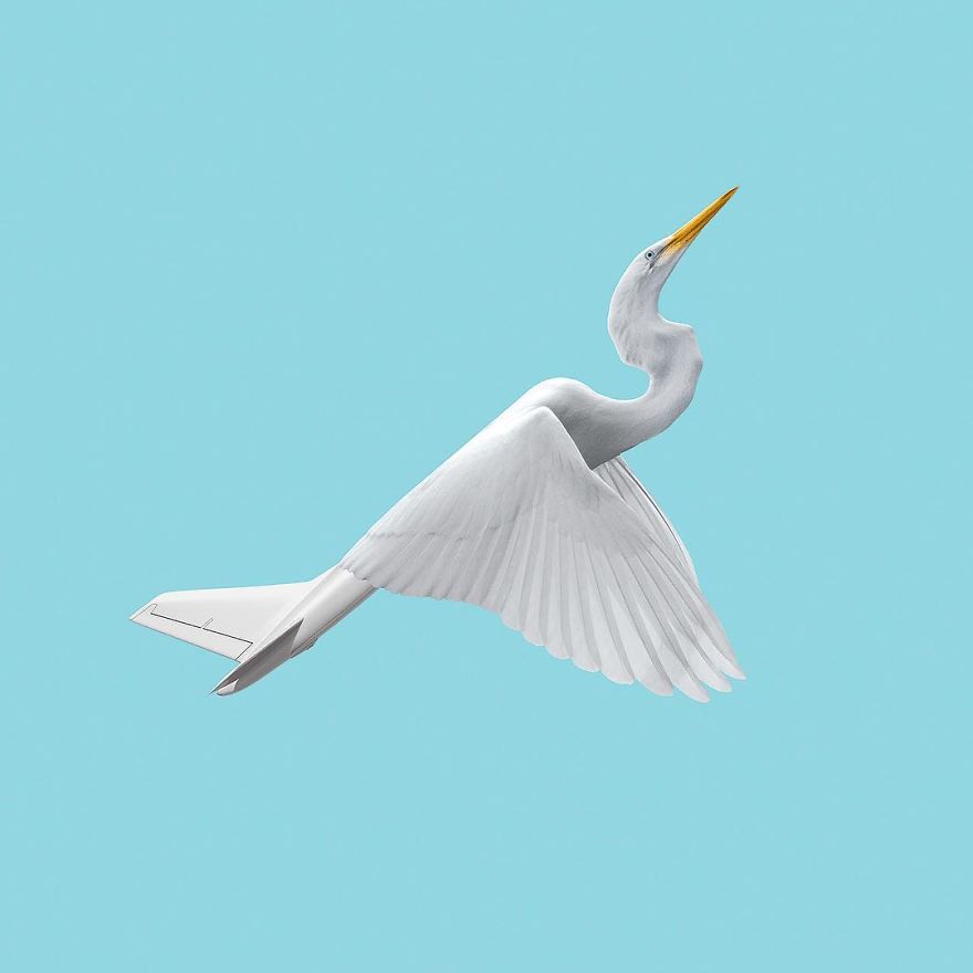 Artist Makes Incredible Manipulations That Will Surely Fiddle With Your Head