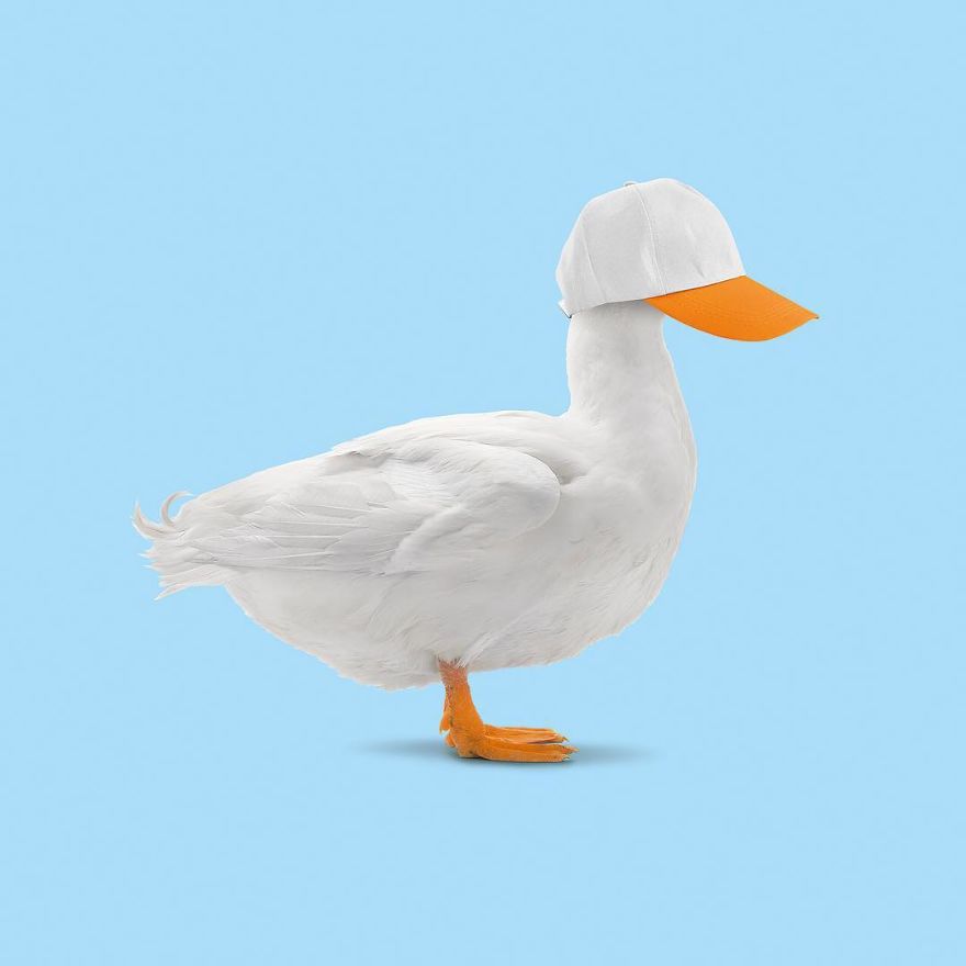 Artist Makes Incredible Manipulations That Will Surely Fiddle With Your Head