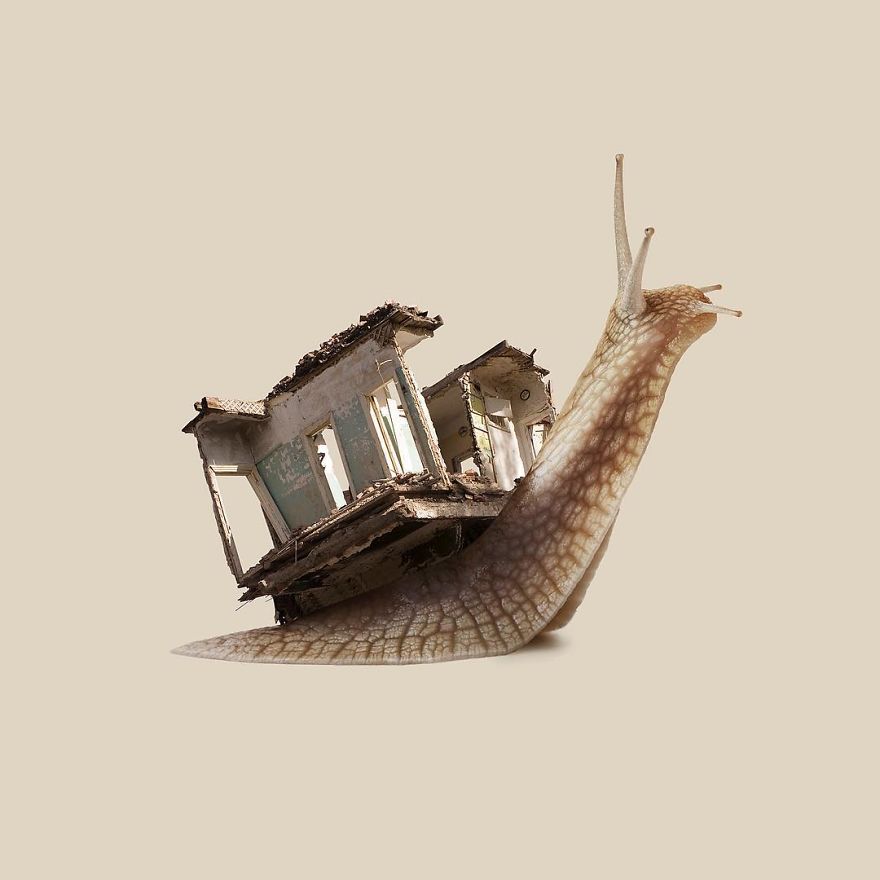 Artist Makes Incredible Manipulations That Will Surely Fiddle With Your Head