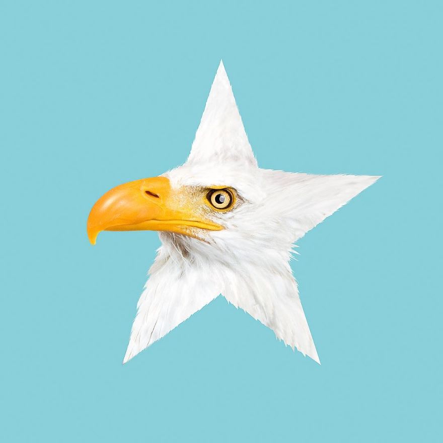 Artist Makes Incredible Manipulations That Will Surely Fiddle With Your Head