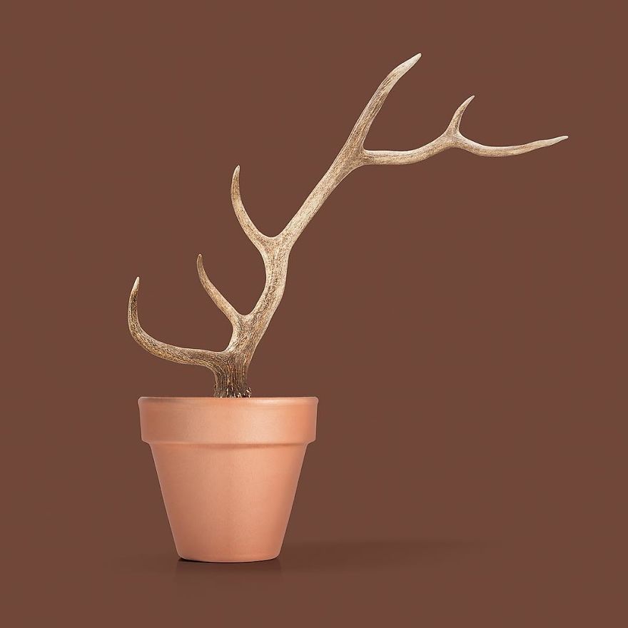 Artist Makes Incredible Manipulations That Will Surely Fiddle With Your Head